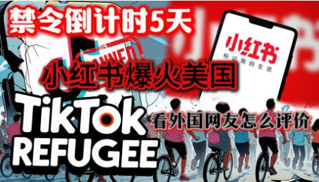 һ𽥻䣡С鿪ʼģ뺣