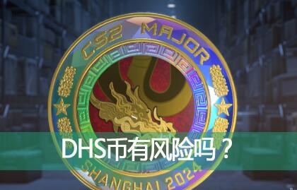 DHSзDHSǷֵͶ볤ڳУ